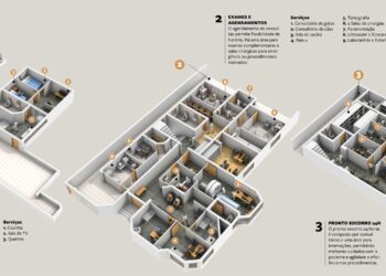 Novo espaço para seu pet