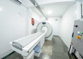 Cuidado extra com seu pet