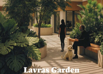 Revista Ipê – Edição 31